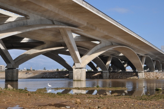 Pont Hassan II
