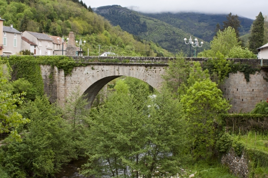 Pont-Neuf de Saint-Jean-du-Bruel
