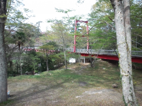 Sakurabuchi Park Footbridge