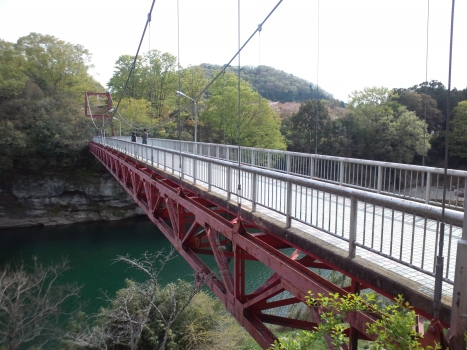 Geh- und Radwegbrücke zum Sakurabuchi-Park