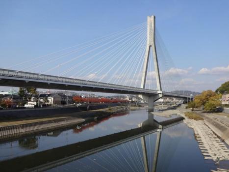 Shin Inagawa Bridge