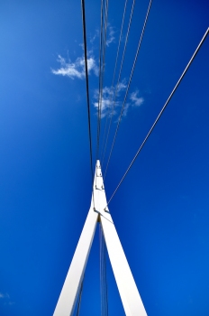 Sir Bobby Robson Bridge