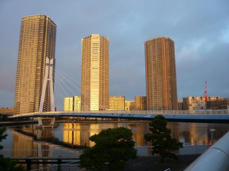Tatsumi-Sakura Bridge