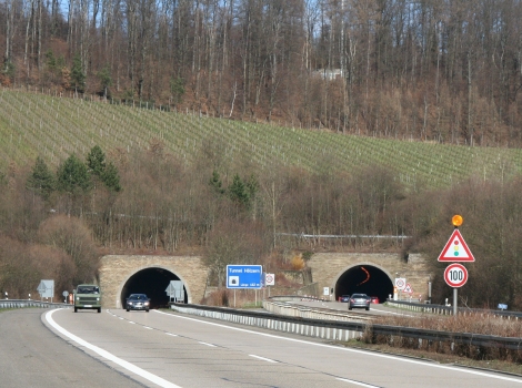 Hölzern Tunnel