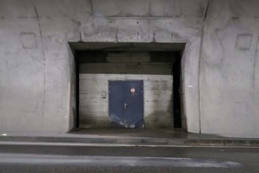 Tunnel d'Aclatobel