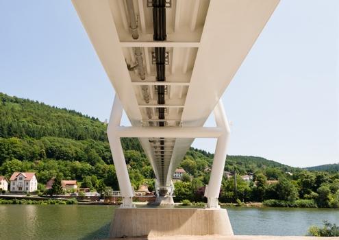 Zwingenberg Bridge