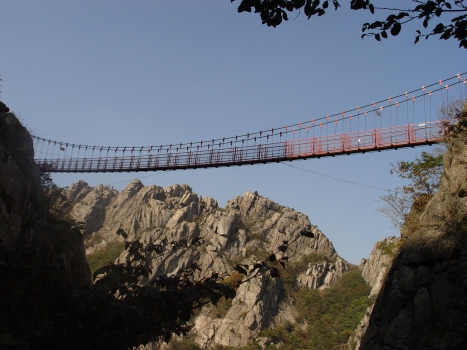 Wolchulsan Suspension Bridge