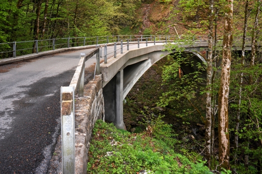 Ziggenbach Bridge : Bridge over the Ziggenbach at the Wägitalersee by Robert Maillart, built 1924; Schwyz, Switzerland.