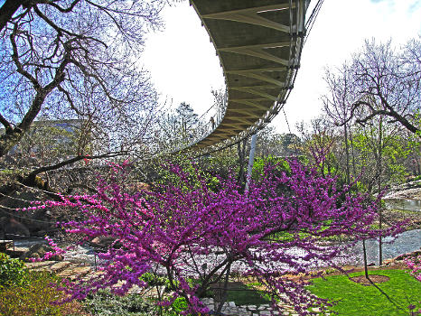 Liberty Bridge