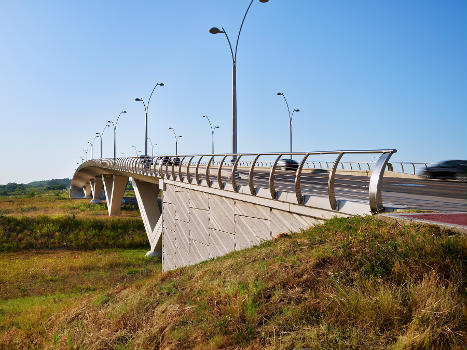 Henderson Street Bridge