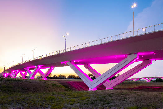 Henderson Street Bridge