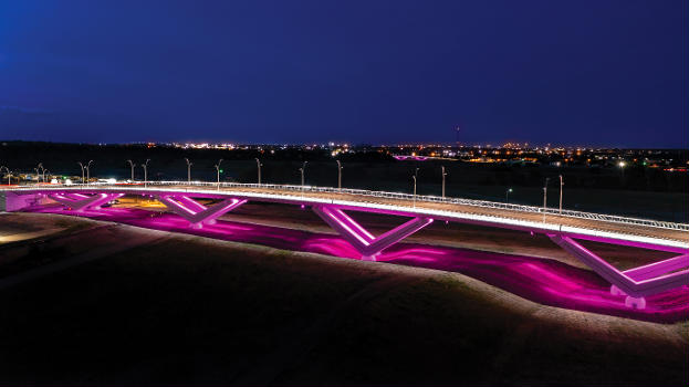 Henderson Street Bridge