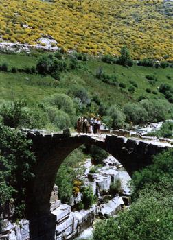 Puente romano, Sierra de Gredos