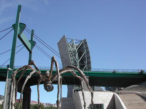 Puente de los Príncipes de España, Bilbao, Pays Basque, Espagne