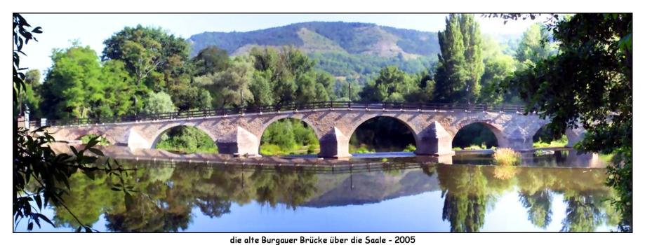 Pont de Iéna-Burgau