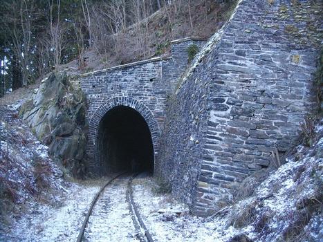 Schweinsbachtunnel bei Ziegenrück