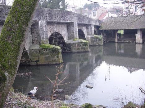 Vieux Pont ou Pont de la Reine Blanche. Boussy-Saint-Antoine (91)