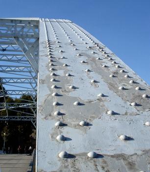 Debilly Footbridge