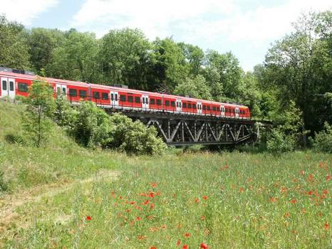 Railway-bridge Neckarburg