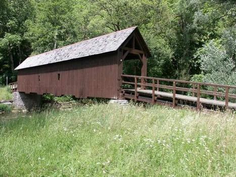 Timber-covered bridge, Neckarburg