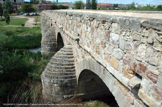 Puente Romano, Salamanca