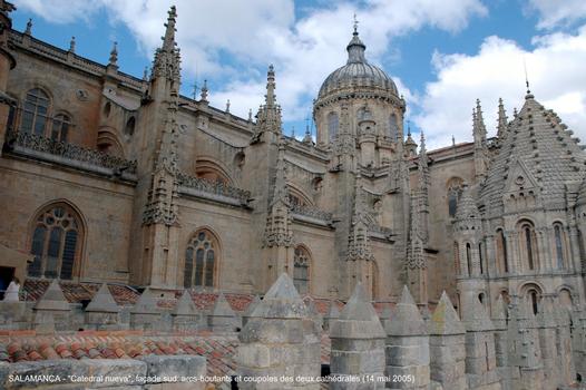 SALAMANCA (Castilla y León) – La Cathédrale nouvelle, construite à partir de 1513 à côté de « Catedral vieja », avec laquelle elle communique par le collatéral sud. Principalement de style gothique, mais les styles Renaissance et baroque sont également présents, la riche façade ouest est caractéristique du gothique tardif