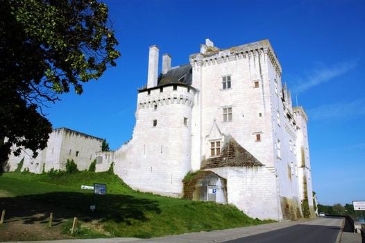 Château de Montsoreau (49730, Maine et Loire, Pays de la Loire), vue d'ensemble : Château de Montsoreau (49730, Maine et Loire, Pays de la Loire), vue d'ensemble