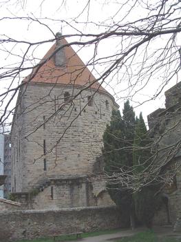 Carcassonne City Walls