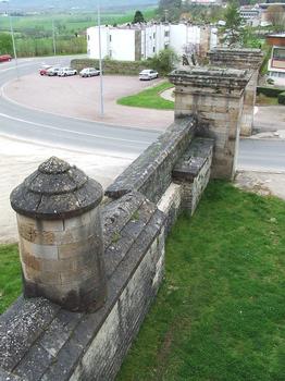 Langres City Walls