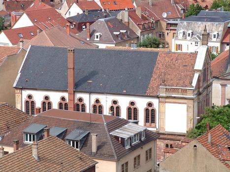 Mulhouse: La Synagogue vue depuis la Tour «Porte du Miroir»