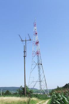 Emetteur radio et radiotéléphonie de Wissembourg (67/Bas-Rhin/Alsace). Hauteur 75 m selon l'ANFR (Agence Nationale des FRéquences)