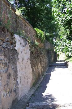 Stadtmauern von Wissembourg