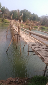 Seasonal Bamboo Bridge