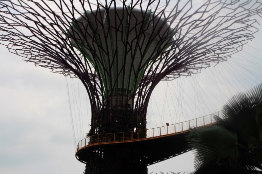 Gardens by the Bay Supertrees