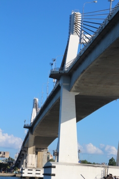 Marcelo Fernan Bridge