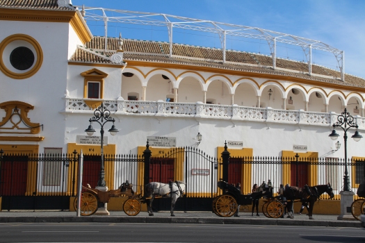 Plaza de Toros de la Real Maestranza de Caballería de Sevilla
