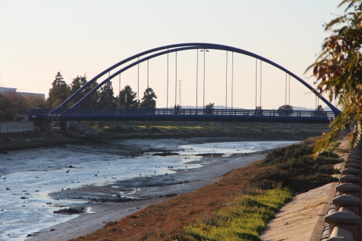 Puente del VII Centenario