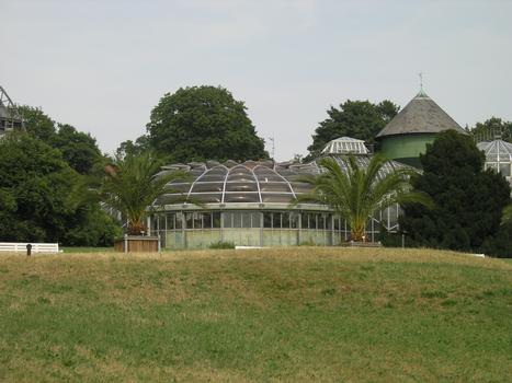 Jardin botanique de BerlinSerre F