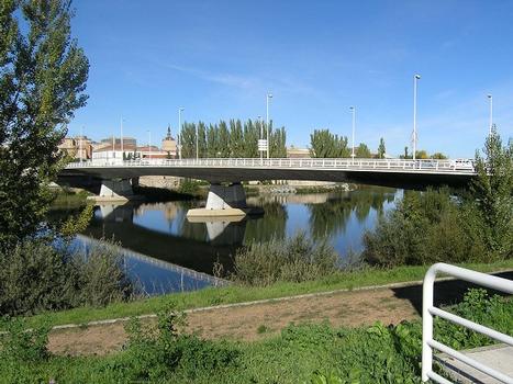Puente Principe de Asturias, Salamanca