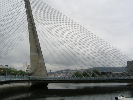 Ponte dos Tirantes, Pontevedra, Spanien