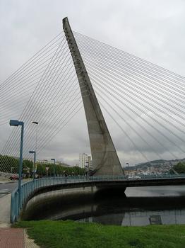 Ponte dos Tirantes, Pontevedra, Spanien