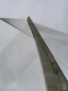 Lerez River Bridge