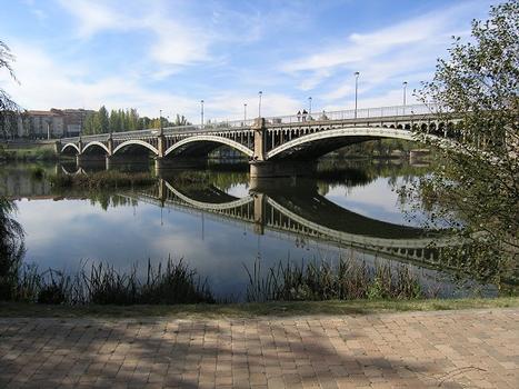 Puente Enrique Esteban, Salamanca