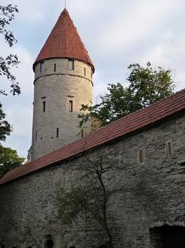 Remparts de Tallinn