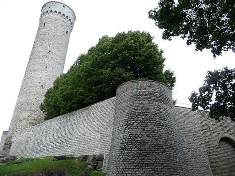 Toompea Castle, langer Hermann, Tallinn