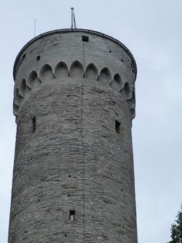 Toompea Castle, langer Hermann, Tallinn