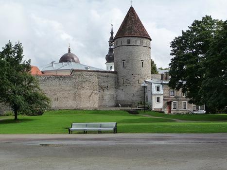 Stadtmauer, Tallinn