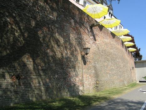 Stadtmauer, Ulm