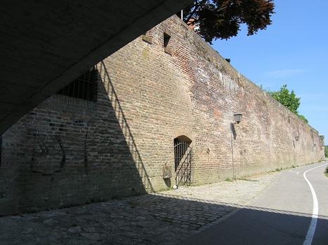 Stadtmauer, Ulm