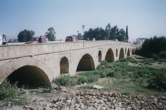Pont de Mdjez El Bab